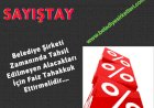 SAYIŞTAY: Belediye Şirketi Vadesinde Tahsil Edilmeyen Alacak İçin Faiz Tahakkuk Ettirmelidir