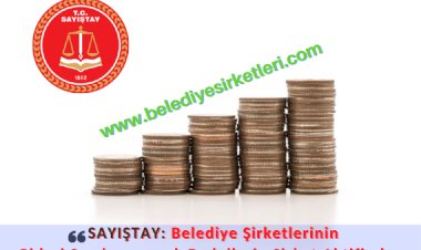 Sayıştay: Şirketin Gideri Sayılamayacak Bedellerin Şirket Aktifinden Ödenmesi Uygun Değildir