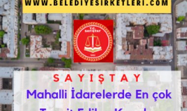 Sayıştay: MAHALLİ İDARELERDE EN ÇOK TESPİT EDİLEN KONULAR